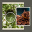 Decoding the pitta skin An ayurvedic solution with neem and manjistha