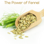 fennel seeds benefits for skin