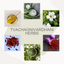 Tvachagnivardhani Herbs in Ayurveda